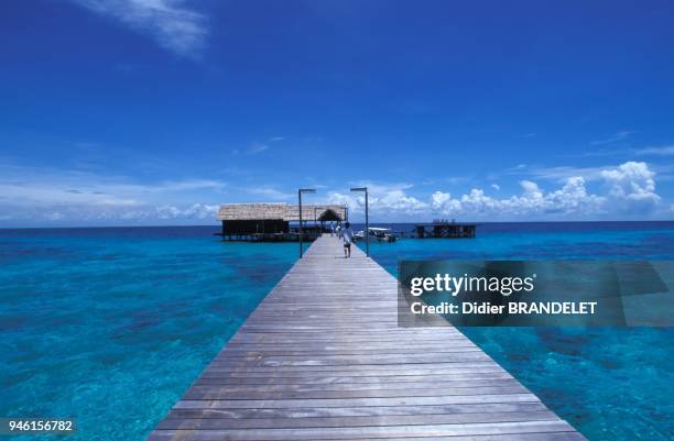 Lankayan Island, Malaysia, Indo Pacific Ocean.