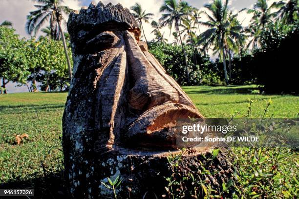 Tonga Tre Ha Apai Photos and Premium High Res Pictures - Getty Images