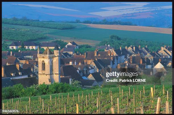 IRANCY, BOURGOGNE.