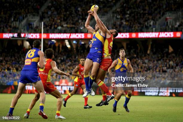 Jack Darling of the Eagles competes with Jarrod Witts of the Suns during the round four AFL match between the West Coast Eagles and the Gold Coast...