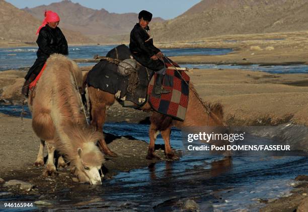 COUPLE DE CHAMELIERS FAISANT BOIRE LEURS CHAMEAUX DE BACRIANE DANS LES MONTS ALTAI EN HIVER, MONGOLIE.