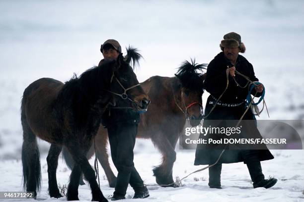 ELEVEURS FAISANT MARCHER LEURS CHEVAUX POUR EVITER QUE LA TRANSPIRATION NE GELE APRES LA COURSE A L OCCASION DE LA FETE NATIONALE MONGOLE DU NAADAM...