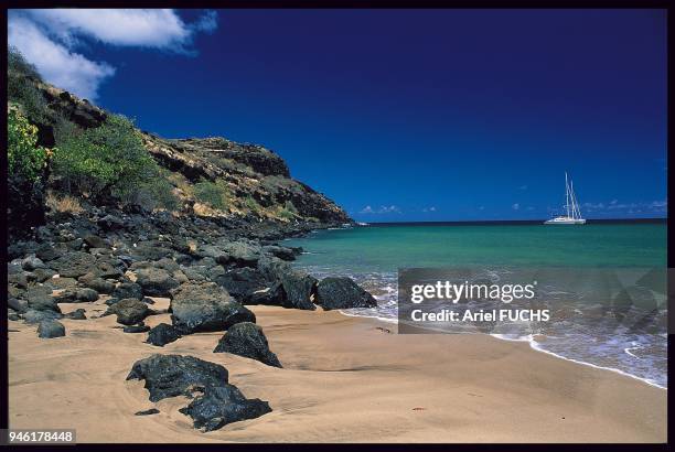 BAIE DE L'AEROPORT, ILE DE NUKU HIVA, MARQUISES.