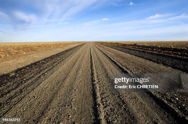 Aux environs de Bajo Caracoles dans la province de Santa Cruz, Argentine.