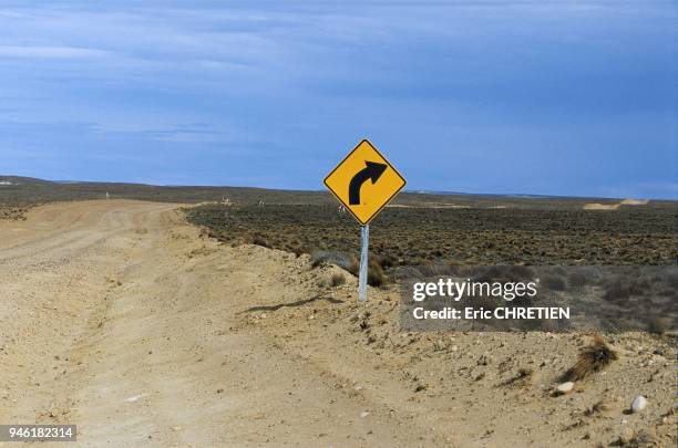 Aux environs de Tres Cerros dans la province de Santa Cruz, Argentine.