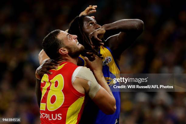 Jarrod Witts of the Suns contests a ruck with Nic Naitanui of the Eagles during the round four AFL match between the West Coast Eagles and the Gold...