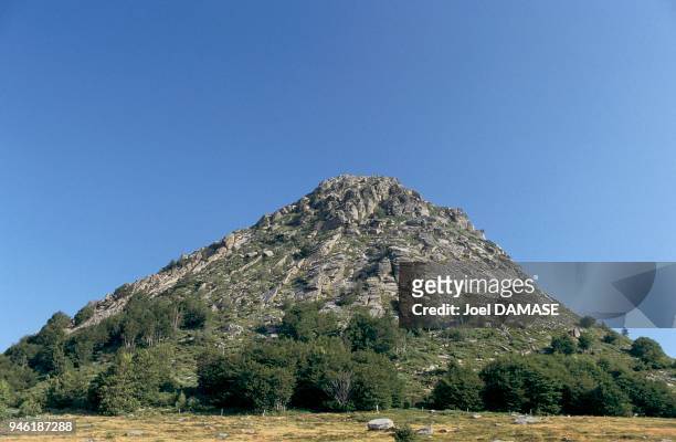 The mount Gerbier de Jonc is a phonolithic body , it is about 8 million years old and reaches 1551m. Le Mont Gerbier de Jonc est un suc phonolithique...