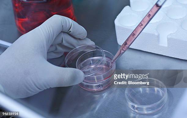 William Vanti, senior research worker from Columbia University, adds a nutrient solution to a cell culture as he works in a lab run by the New York...
