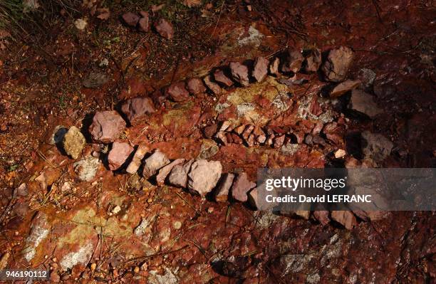 Trace Rouge Photos and Premium High Res Pictures - Getty Images
