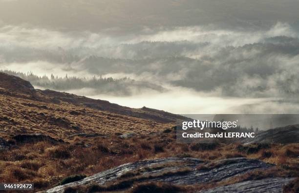 Glengarriff is in the southwestern part of the country, on the banks of a bay scattered with islands. This seaside resort has a nearly Mediterranean...