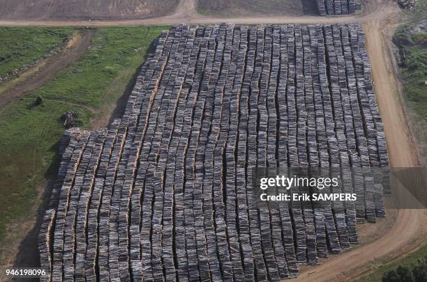 STOCKAGE DU BOIS VERS BEMIDJI, MINNESOTA, ETATS-UNIS.