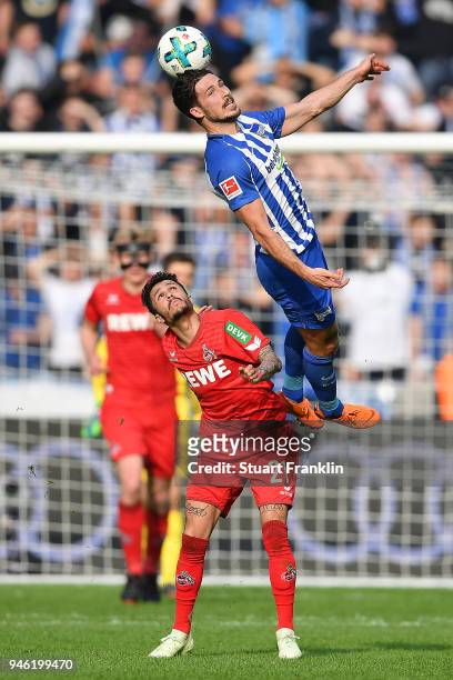 Mathew Leckie of Berlin fights for the ball with Leonardo Bittencourt of Koeln during the Bundesliga match between Hertha BSC and 1. FC Koeln at...