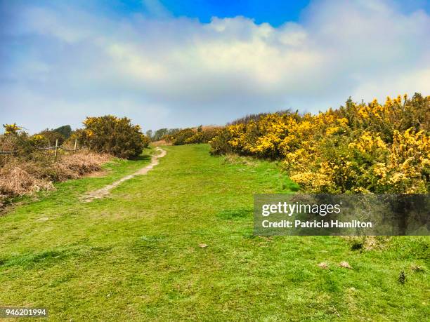 footpath up sloping meadow - fairlight stock pictures, royalty-free photos & images