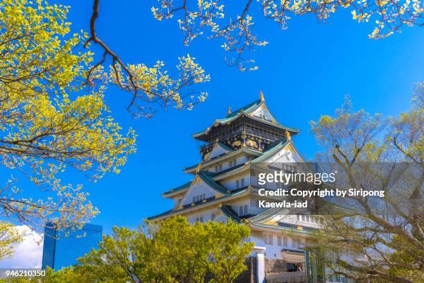 the osaka castle in a beautiful day, japan. - copyright by siripong kaewla iad stock pictures, royalty-free photos & images