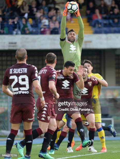 Salvatore Sirigu goalkeeper of Torino FC during the serie A match between AC Chievo Verona and Torino FC at Stadio Marc'Antonio Bentegodi on April...