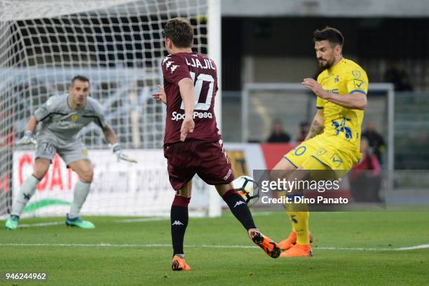 Nenad Tomovic of Chievo Verona competes with Adem Ljajic of Torino FC during the serie A match between AC Chievo Verona and Torino FC at Stadio...
