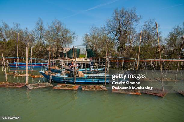 Moecante' is seen during a fishing tour of 'Moeche' organized by Cooperativa San Marco in Burano on April 14, 2018 in Venice, Italy. At the beginning...