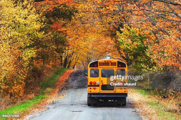school bus - minibuses stock pictures, royalty-free photos & images