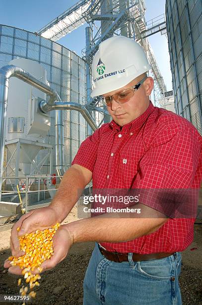 Front Range Energy LLC Manager Dan Sanders shows the corn that will end up as ethanol Tuesday, May 16, 2005 when the new Windsor, Colorado, ethanol...