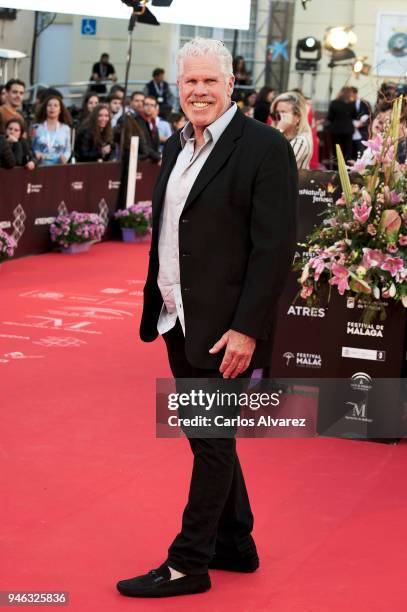 Actor Ron Perlman attends the Malaga Sur award ceremony during the 21th Malaga Film Festival at the Cervantes Theater on April 14, 2018 in Malaga,...