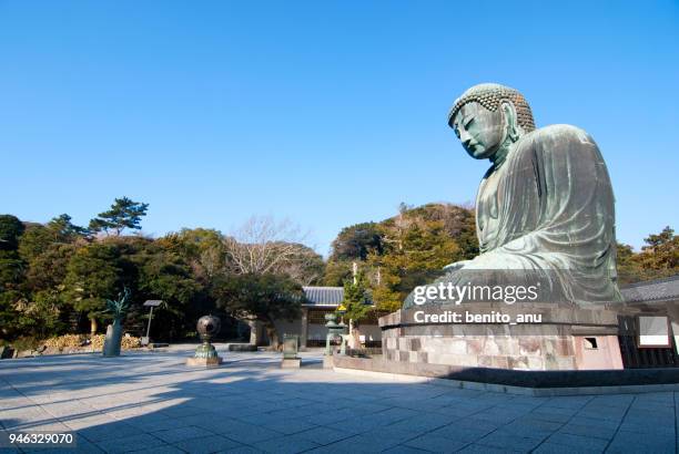 kotoku-in kamakura - großer buddha von kamakura stock-fotos und bilder