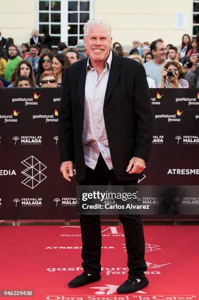 Actor Ron Perlman attends the Malaga Sur award ceremony during the 21th Malaga Film Festival at the Cervantes Theater on April 14, 2018 in Malaga,...