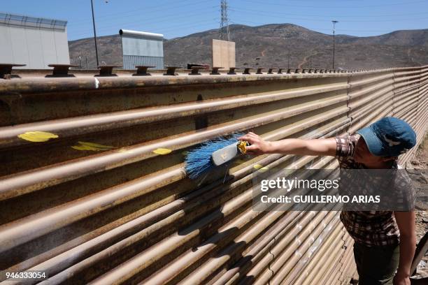 Guatemalan activist Flor Figueroa, cleans the US-Mexico border wall before painting it, as part of the "Picnic prototype, Security through...