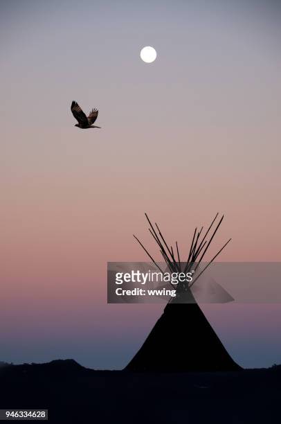 teepee at sunset with full moon and hawk. - teepee stock pictures, royalty-free photos & images