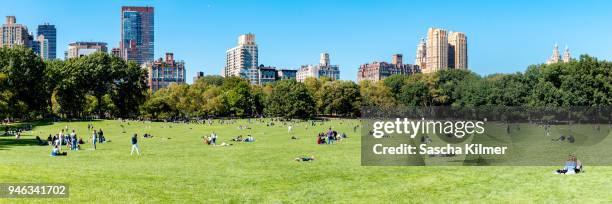 central park sheep meadow, summer day panoramic view - park panoramic stock pictures, royalty-free photos & images