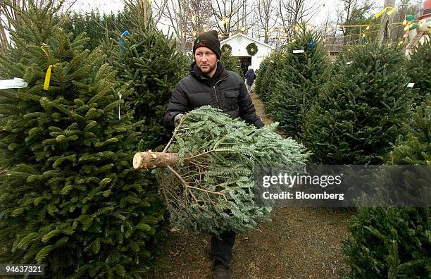Hadley Walker carries a tree on the Fred and Dot Wagoner Christmas Tree Lot in Greensboro, North Carolina, U.S., on Saturday, Dec. 15, 2007. A record...