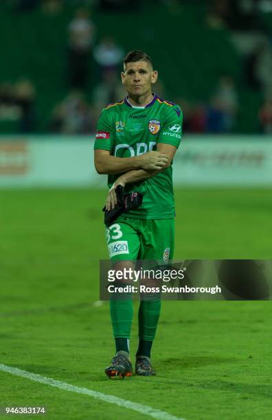 Goalkeeper Liam Reddy of the Glory on his 250th game at nib Stadium on April 14, 2018 in Perth, Australia.