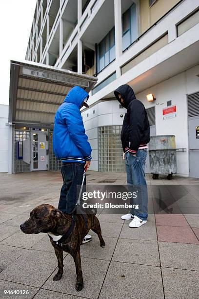 Young men in hooded tops seen with their Staffordshire Bull Terrier on a council housing estate in Brixton, London. U.K., Tuesday, Aug. 21, 2007.