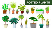 Potted Plants Set Vector. Indoor Home, Office Modern Style Houseplants. Green Color Plants In Pot. Various. Floral Interior Icon. Decoration Design Element. Isolated Flat Illustration
