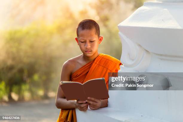 young novice monk reading a buddhist scriptures in the temple. - buddhist scriptures stock pictures, royalty-free photos & images