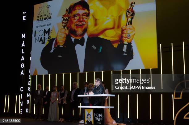 Mexican director Guillermo del Toro receives the 'Málaga-SUR' award as tribute for his professional career inside of the Cervantes Theatre during the...