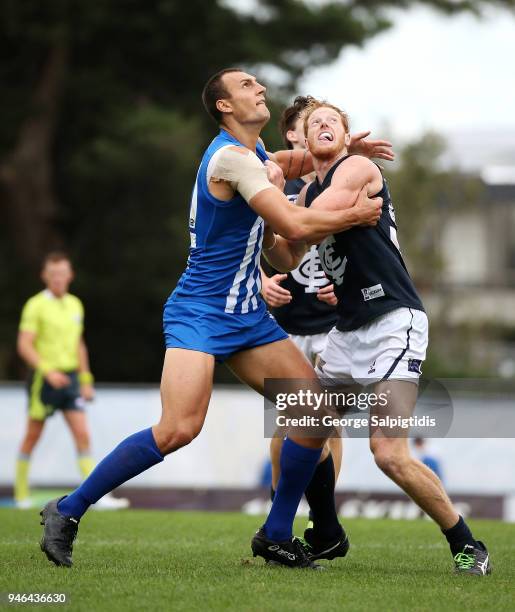 Braydon Preuss of North Melbourne battles with Andrew Phillips of the Northern Blues during the round two VFL match between North Melbourne and the...