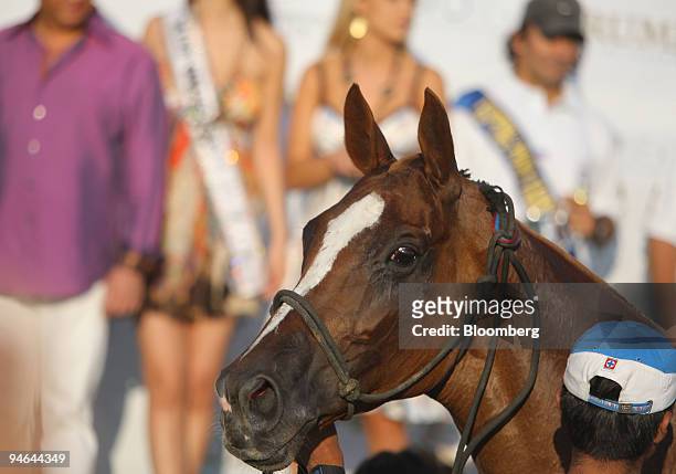 Horse is seen at an awards ceremony attended by Miss Universe, Riyo Mori, at a polo match at the Two Trees Farm in Bridgehampton, New York, on Aug....