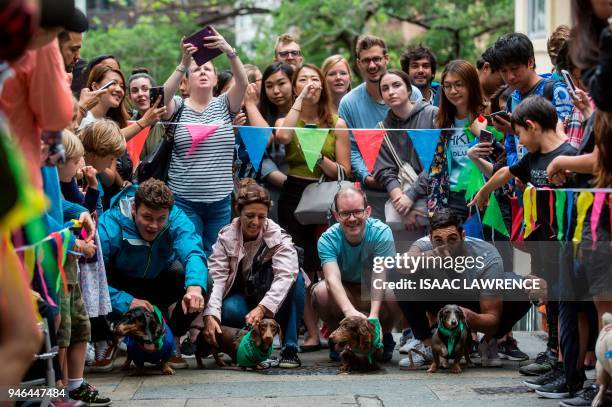 Owners and their dogs take part in "HK Doggie Dash 2018", an event held to raise money for for abandoned and surrendered dogs in Hong Kong on April...