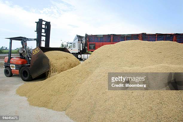 Harvested rice is loaded for transport to a rice mill, in Tanjung Karang, Selangor, Malaysia, on Friday, June 1, 2007. The U.S. Government said...