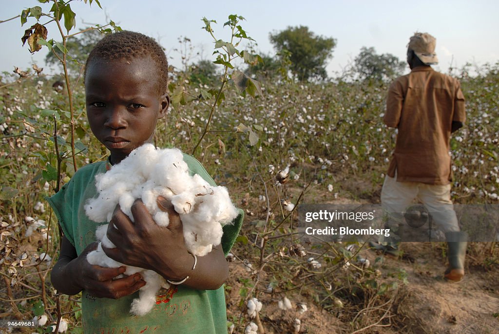 A young boy holds a bundle of harvested cotton on a farm, 12