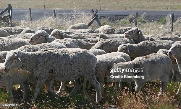 Oregon Rambo Cunningham Ranch Photos and Premium High Res Pictures - Getty Images