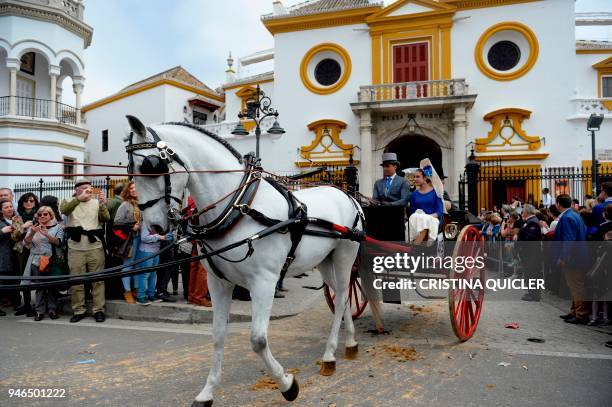 Horse pulls a buggy during the XXXIII "Enganches" exhibition at the Real Maestranza bullring in Sevilla on April 15, 2018. / AFP PHOTO / CRISTINA...