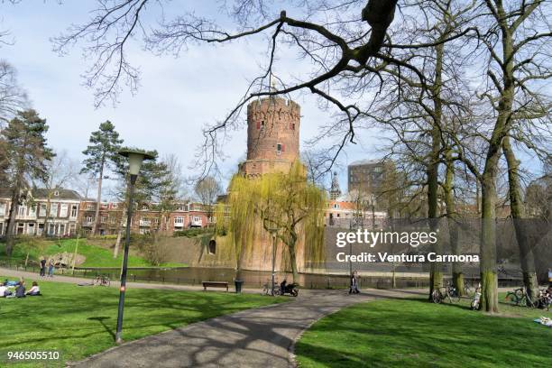 kronenburgerpark in nijmegen - the netherlands - 奈美根 個照片及圖片檔