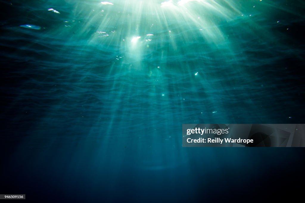 Underwater Landscape