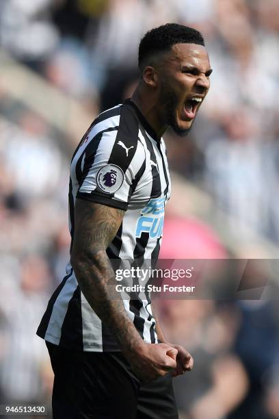 Jamaal Lascelles of Newcastle United celebrates victory after the Premier League match between Newcastle United and Arsenal at St. James Park on...
