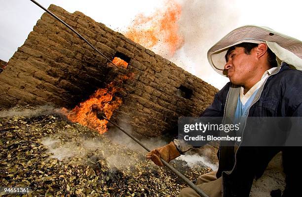 Worker helps to burn coca leaves under the supervision of Bolivia's Special Anti-Drug Trafficking Force , in Cochabamba, Bolivia, on Tuesday, Dec. 4,...