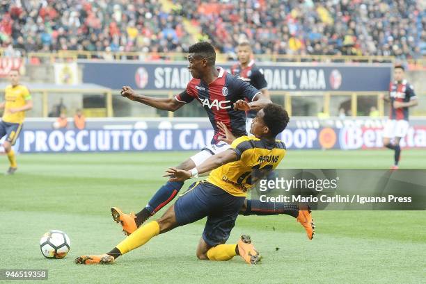 Rolando Aarons of Hellas Verona FC competes the ball with Ibtahima Mbaye of Bologna FC during the serie A match between Bologna FC and Hellas Verona...