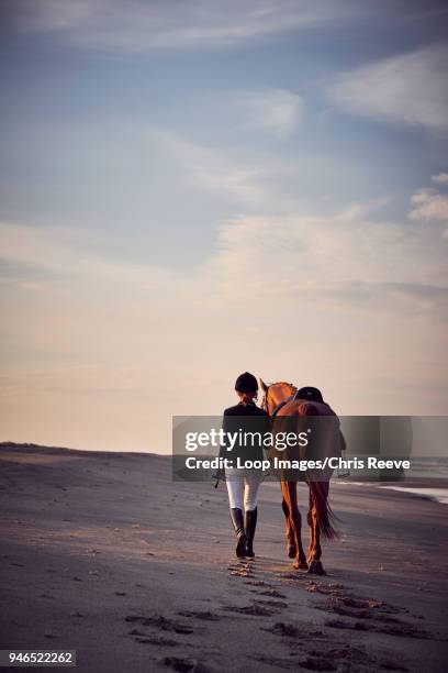 a young woman walking with her horse on the beach - jodhpurs stock pictures, royalty-free photos & images