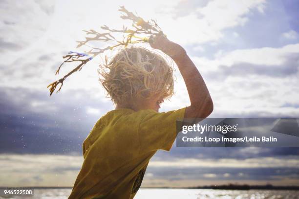boy throwing seaweed on the beach - balin stock pictures, royalty-free photos & images