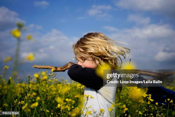 boy walking through rapeseed field - balin stock pictures, royalty-free photos & images